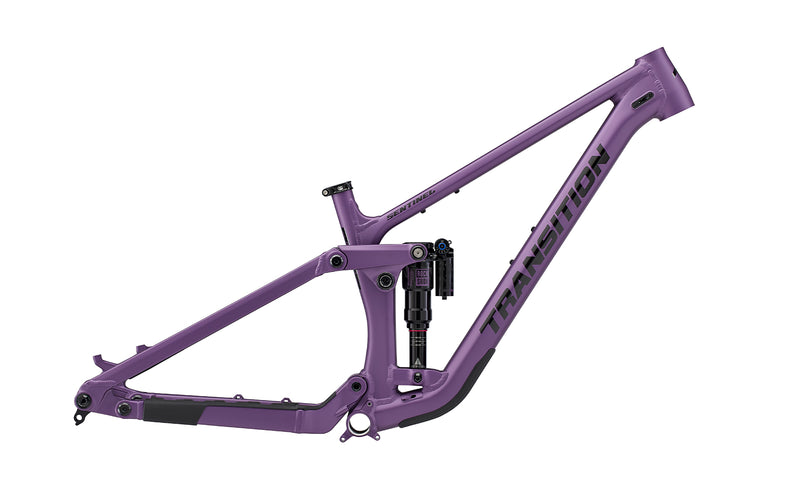 2025 Transition Sentinel 29" Alloy Mountain Frame