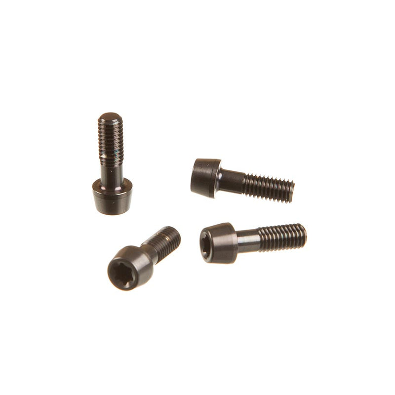 SRAM Faceplate/Bolt Kit for SL Speed B1 11.6518.015.000