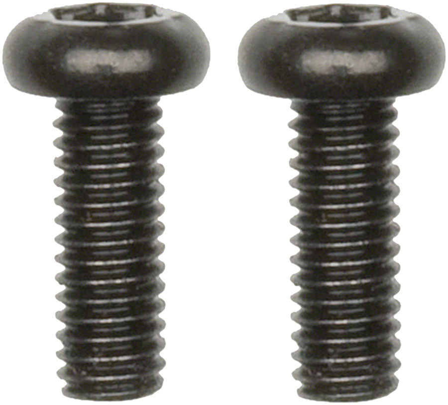 Hope Brake Lever Reservoir Cap Screws - 2 Screws