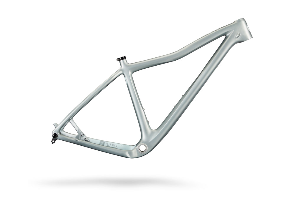 2025 Ibis DV9 29" Hardtail Mountain Bike Frame