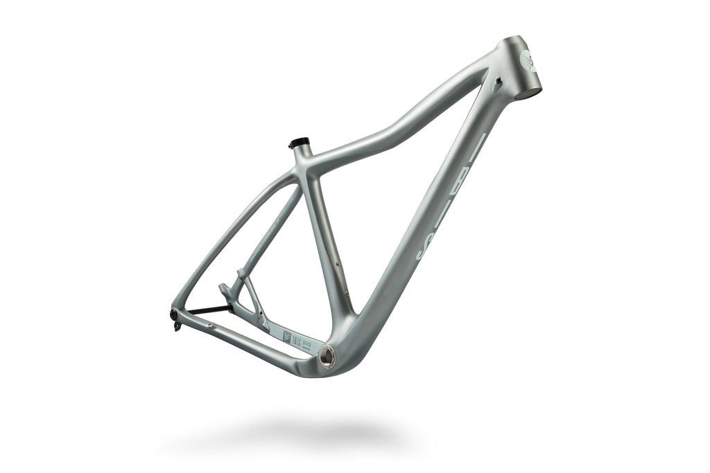 2025 Ibis DV9 29" Hardtail Mountain Bike Frame