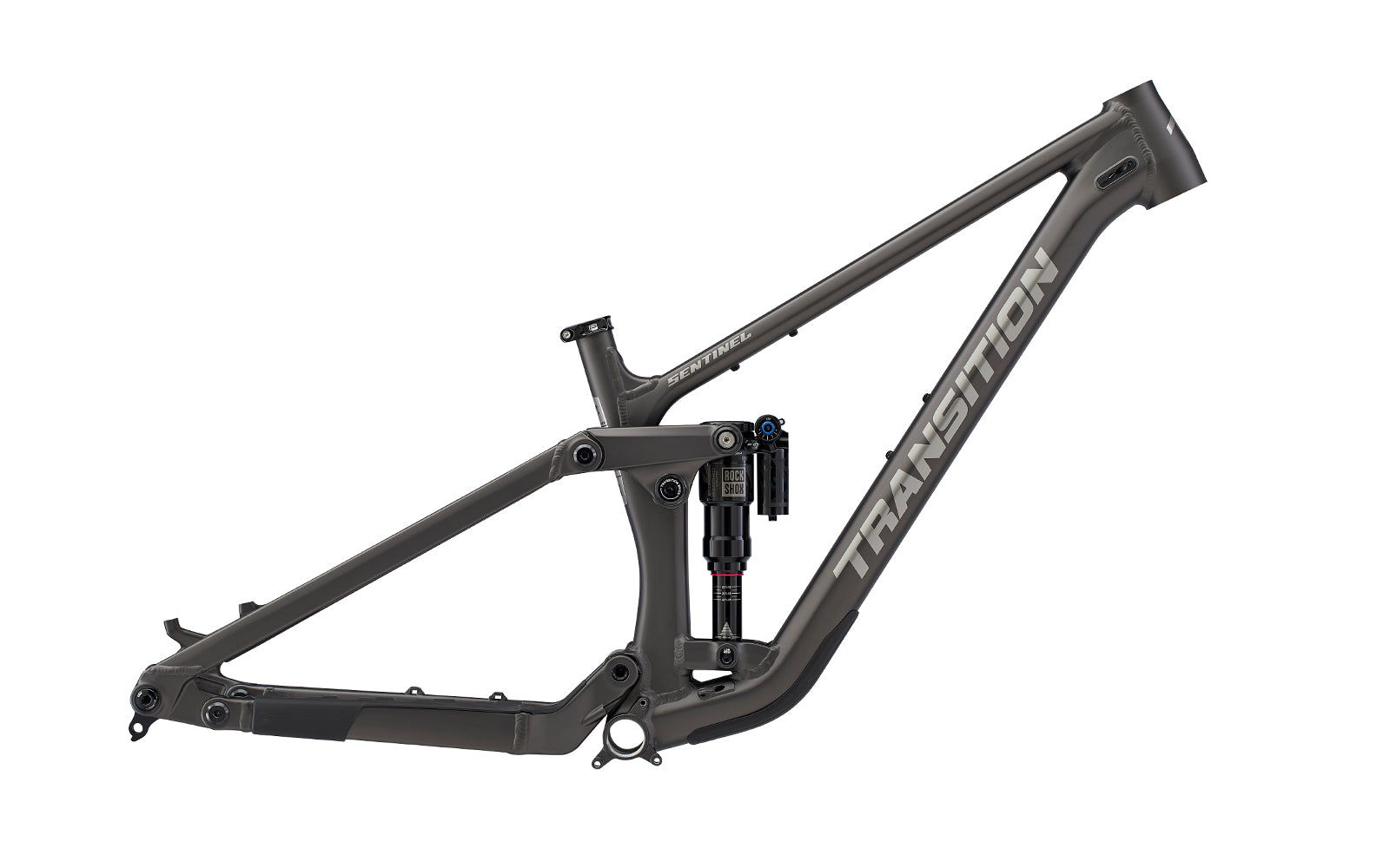 2025 Transition Sentinel 29" Alloy Mountain Frame