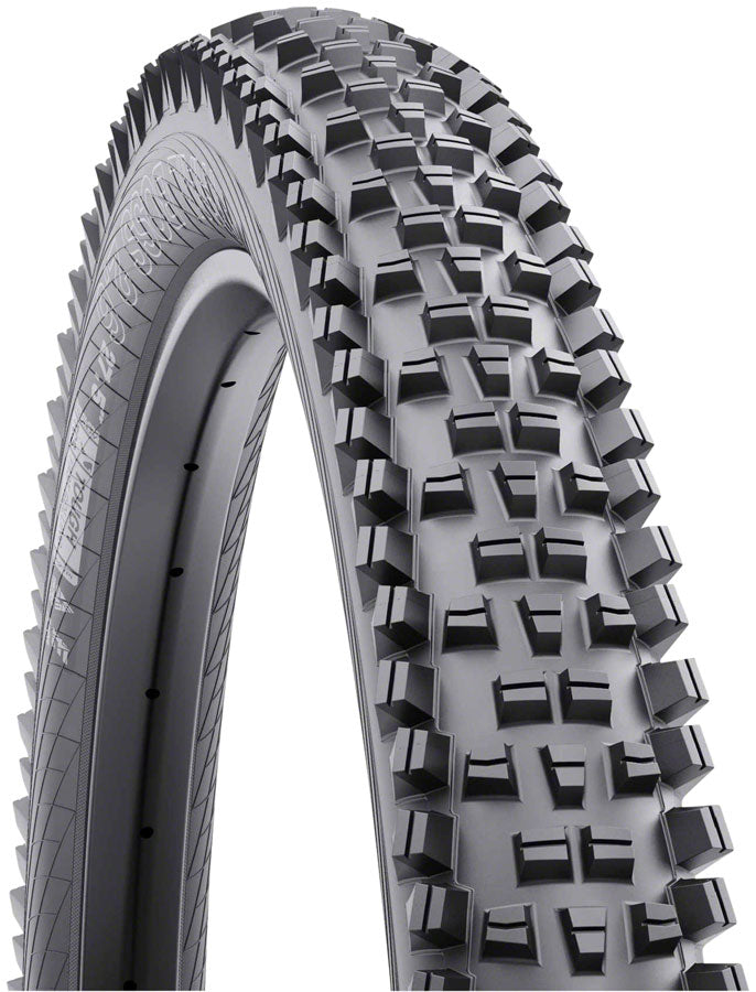 WTB Trail Boss Tire - 29 x 2.4 TCS Tubeless Folding BLK Light/Fast Rolling Dual DNA SG2