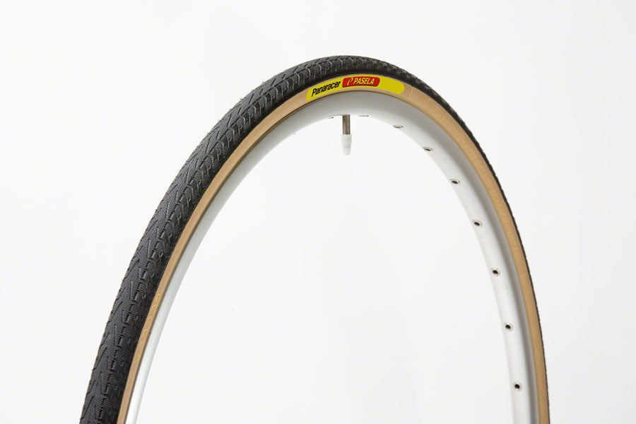 Panaracer Pasela Tire - 700 x 25 Clincher Wire Black/Amber