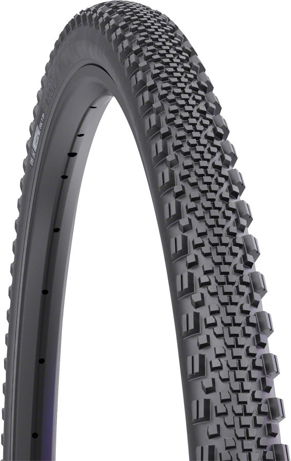 WTB Raddler Tire - 700 x 40, TCS Tubeless, Folding, Black, Light, Fast Rolling, SG2 - CLOSEOUT