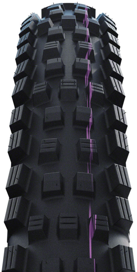 Schwalbe Magic Mary Gravity Mountain Tire 29"x2.50 Folding Tubeless Ready Addix Ultrasoft Black