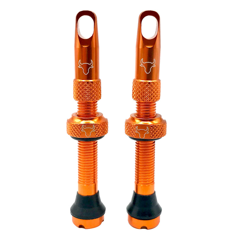 Hold Fast Cycling Tubeless Valve Stem 42mm (Pair) - Orange