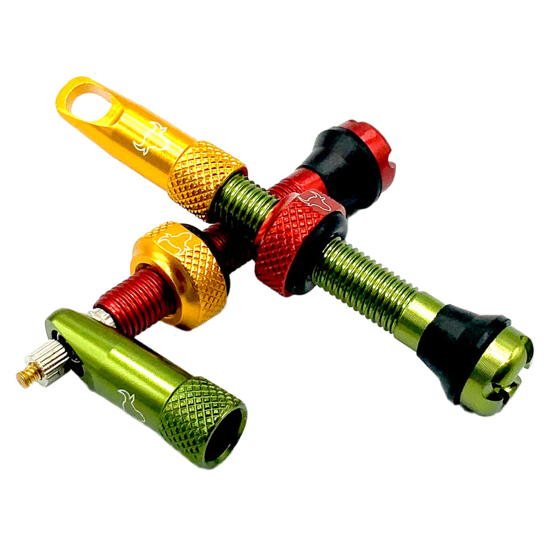 Hold Fast Cycling Tubeless Valve Stem 42mm (Pair) - Rasta