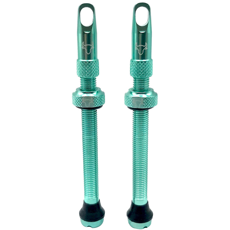 Hold Fast Cycling Tubeless Valve Stem 65mm (Pair) - Turquoise