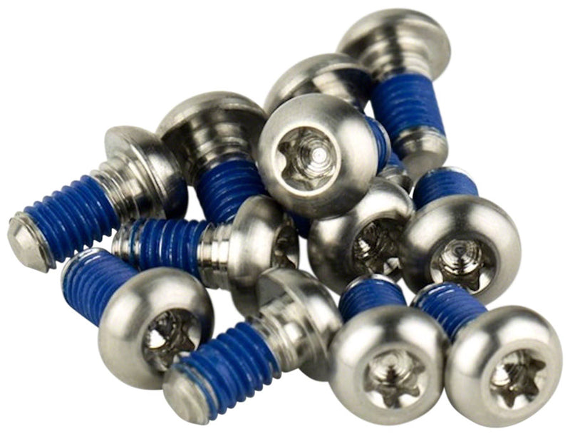 SRAM Titanium T25 Rotor Bolt Kit - Silver, Set of 12