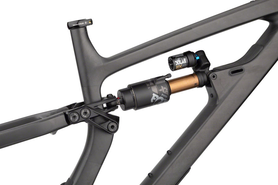 Salsa Blackthorn Carbon Frame - Carbon, Raw, Medium