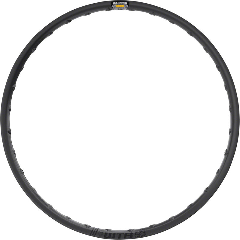 WTB CZR i30 Rim - 29", TCS Tubeless, Disc, Black, 28H