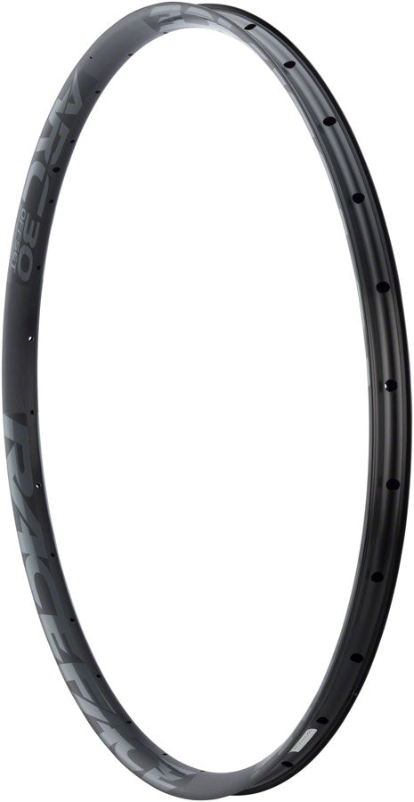 RaceFace ARC 30 Rim - 29", Disc, Black, 28H, Offset