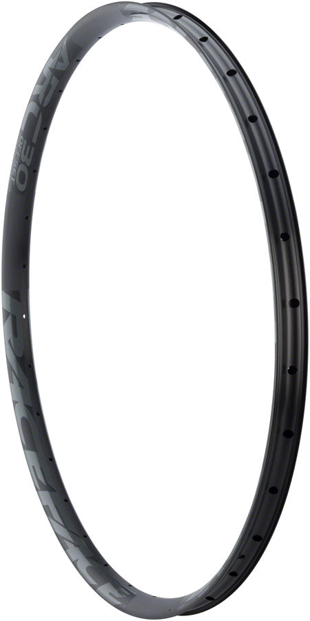 RaceFace ARC 30 Rim - 29", Disc, Black, 32H, Offset