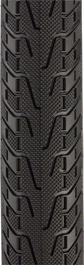 Panaracer Pasela ProTite Tire - 700 x 25, Clincher, Wire, Black/Tan, 60tpi