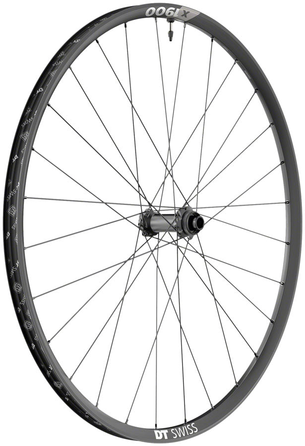 DT Swiss X 1900 Spline 25 Front Wheel - 29", 15 x 110mm, Center-Lock, Black