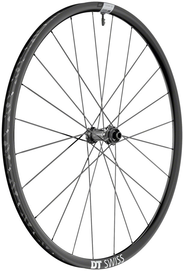 DT Swiss E 1800 Spline 23 Front Wheel - 700, 12 x 100mm, Center-Lock, Black