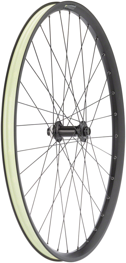 Quality Wheels MTB Ebike Alex EM30 Disc Front Wheel - 29", 15 x 110mm, Center-Lock, Black