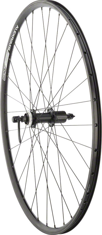 Quality Wheels Value Double Wall Series Rim+Disc Rear Wheel - 700, QR x 135mm, Center-Lock, HG 10, Black, Clincher