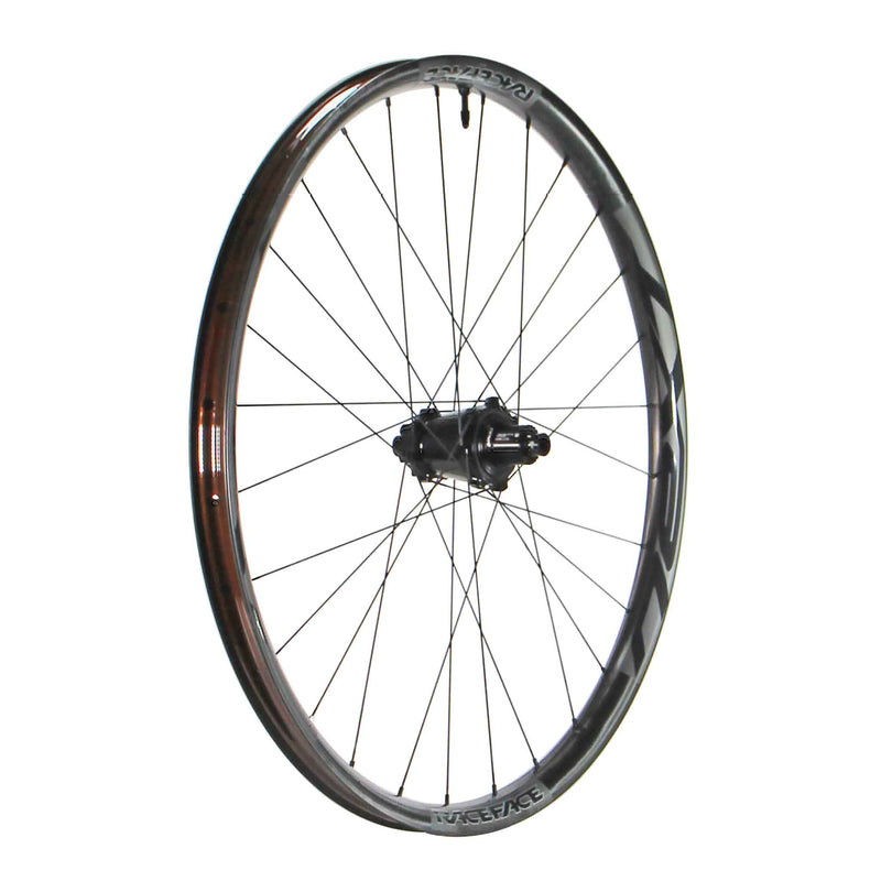 RaceFace Next R Rear Wheel - 29", 12 x 148mm, 6-Bolt, Micro Spline, Black